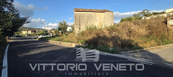 390m² Warehouse in Laureana Cilento, Italy No. 306906 4