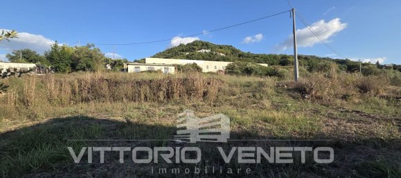 390m² Warehouse in Laureana Cilento, Italy No. 306906 8