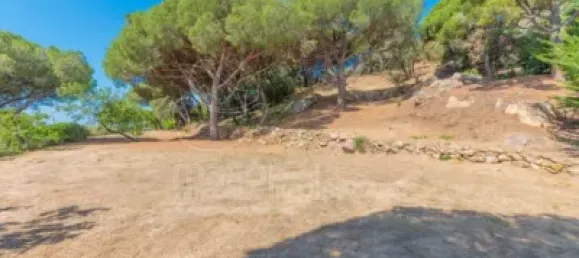 14 bedrooms Villa in Castell-Platja d'Aro, Spain No. 173234 9