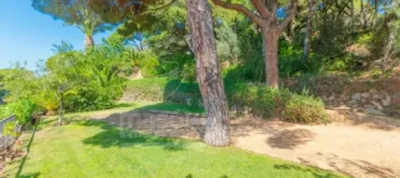 14 bedrooms Villa in Castell-Platja d'Aro, Spain No. 173234 7