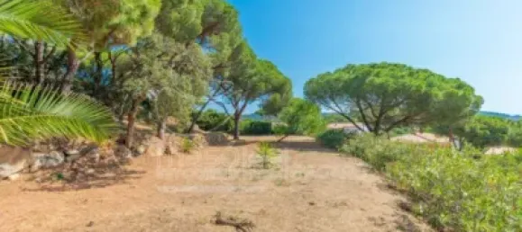 14 bedrooms Villa in Castell-Platja d'Aro, Spain No. 173234 8