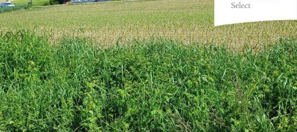 Terrain à Jennersdorf, Austria 8906m² No. 166824 6