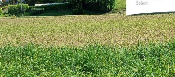 Terrain à Jennersdorf, Austria 8906m² No. 166824 5