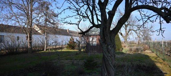 4غرفة منزل في Retz, Austria رقم 139521 14