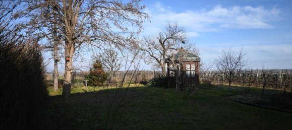 4غرفة منزل في Retz, Austria رقم 139521 16