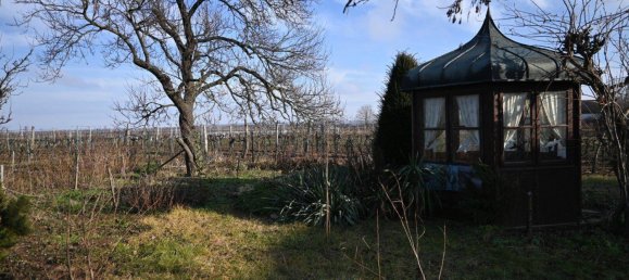 4غرفة منزل في Retz, Austria رقم 139521 17