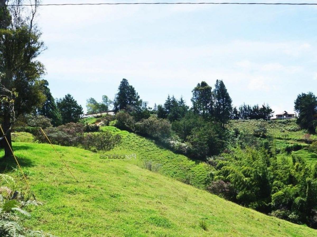 Grundstück in Antioquia, Colombia, Nr. 791