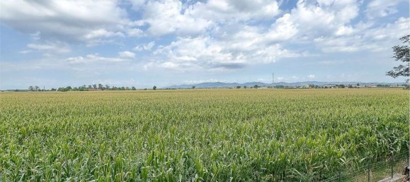 3 bedrooms Apartment in Chieri, Italy No. 327689 25