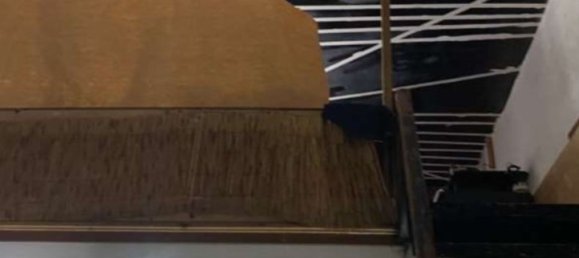 2غرفة شقة في Milan, Italy رقم 245424 12