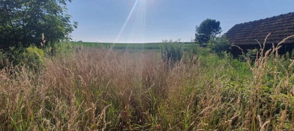 Terrain à Grossweikersdorf, Austria 1585m² No. 147566 7