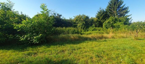 Terrain à Grossweikersdorf, Austria 1585m² No. 147566 6