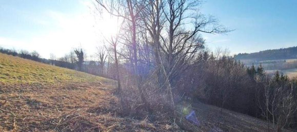  Land in Tullnerbach, Austria No. 31816 5