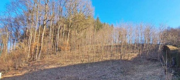  Land in Tullnerbach, Austria No. 31816 2