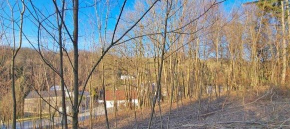  Land in Tullnerbach, Austria No. 31816 3