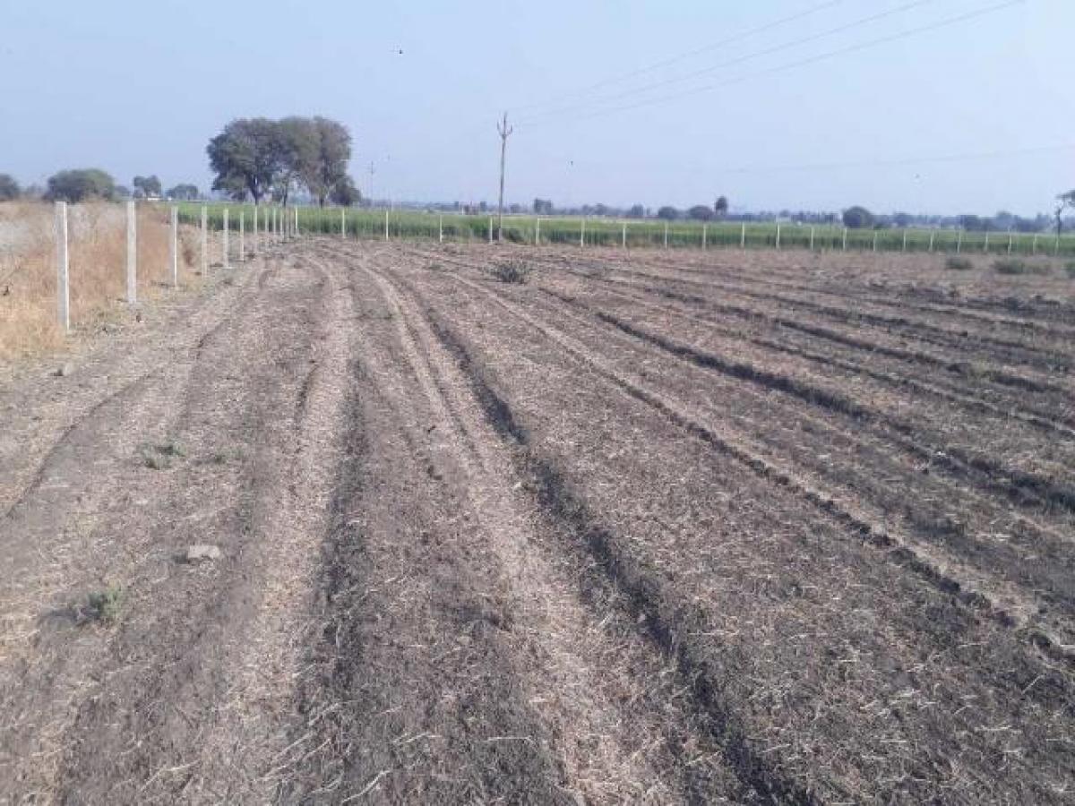  Land in Indore, India No. 42014