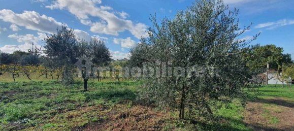 1 bedroom House in Vitorchiano, Italy No. 308611 3