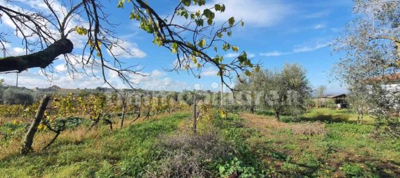 1 bedroom House in Vitorchiano, Italy No. 308611 6