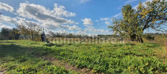 1 bedroom House in Vitorchiano, Italy No. 308611 9