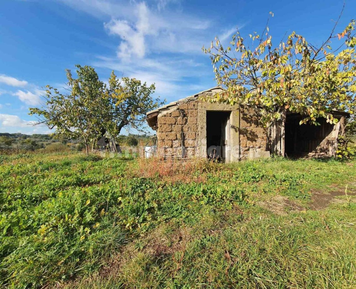 1 bedroom House in Vitorchiano, Italy No. 308611