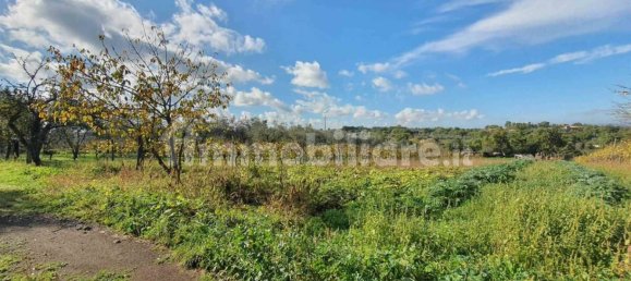 1 bedroom House in Vitorchiano, Italy No. 308611 8