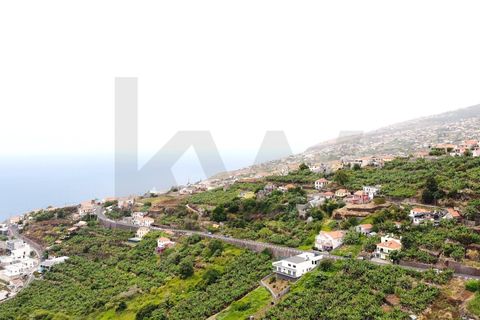 221m² Land in Calheta, Portugal No. 244778