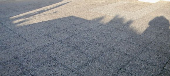 3 rooms Apartment in Pisa, Italy No. 217048 13