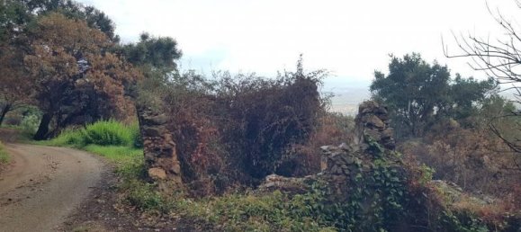 6600m² Land in Lamezia Terme, Italy No. 40112 4