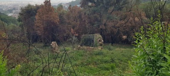 6600m² Land in Lamezia Terme, Italy No. 40112 2