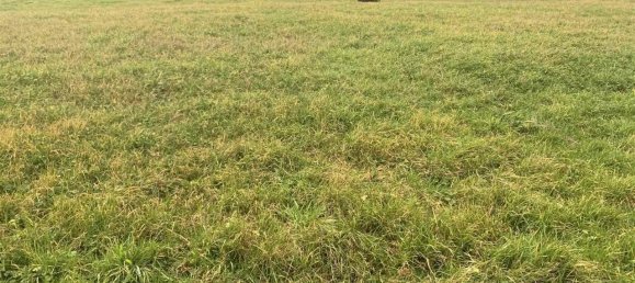 Terreno em Figline e Incisa Valdarno, Italy 5000 m² N.º 70109 5