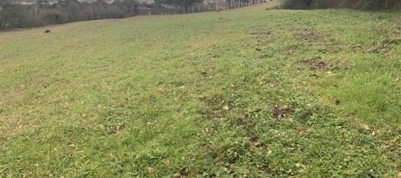 Terreno em Figline e Incisa Valdarno, Italy 5000 m² N.º 70109 8