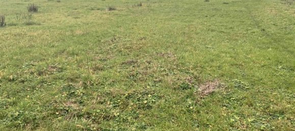 Terreno em Figline e Incisa Valdarno, Italy 5000 m² N.º 70109 6