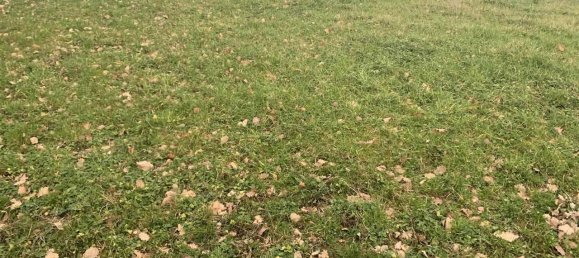 Terreno em Figline e Incisa Valdarno, Italy 5000 m² N.º 70109 3