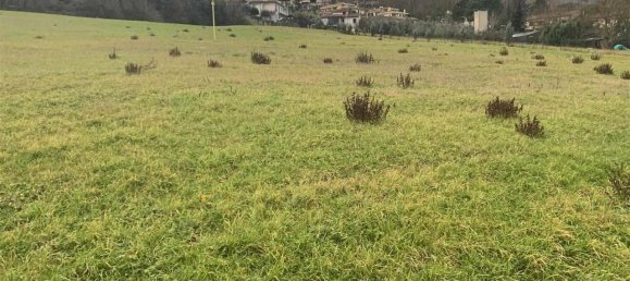Terreno em Figline e Incisa Valdarno, Italy 5000 m² N.º 70109 2