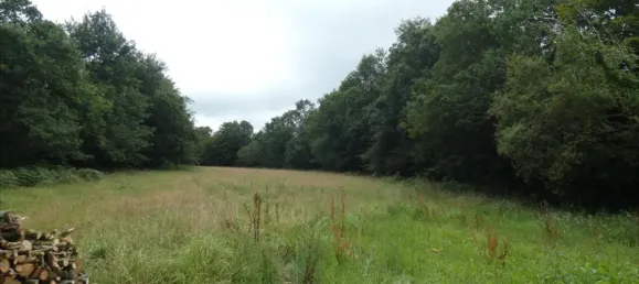  Land in Finistere, France No. 344655 2