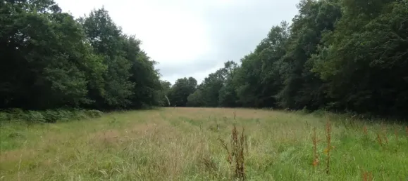  Land in Finistere, France No. 344655 3