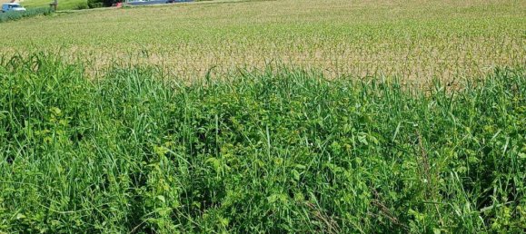 8906m² Land in Jennersdorf, Austria No. 163094 6