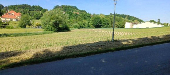 8906m² Land in Jennersdorf, Austria No. 163094 9