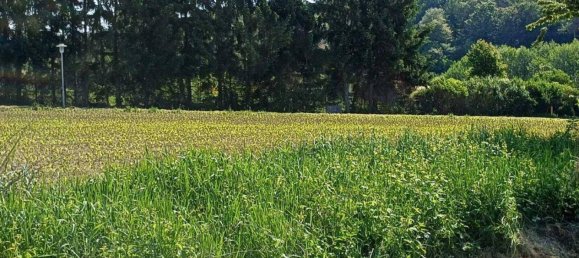 8906m² Land in Jennersdorf, Austria No. 163094 4