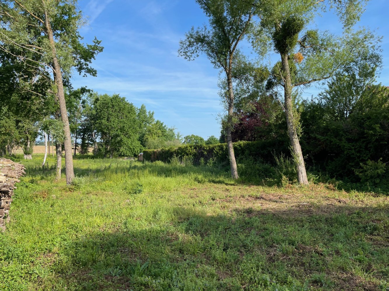 Grundstück in La Vendue-Mignot, France, Nr. 86860