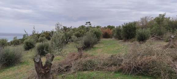 1625m² Hotel in Chalkidiki, Greece No. 3780 5