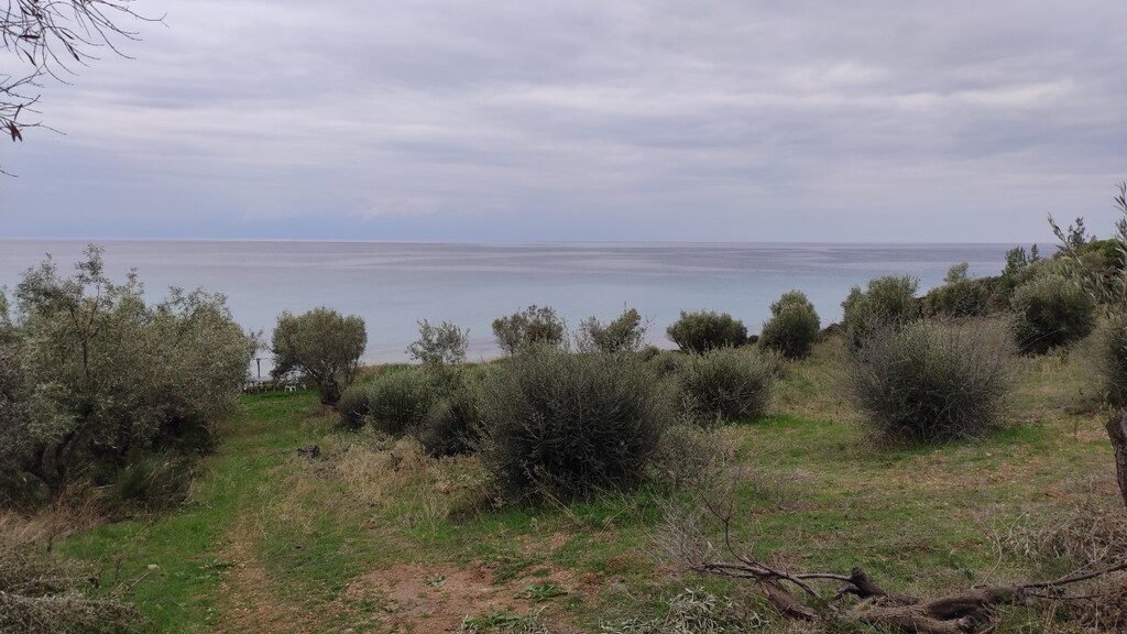 1625m² Hotel in Chalkidiki, Greece No. 3780