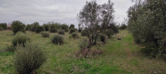 1625m² Hotel in Chalkidiki, Greece No. 3780 6