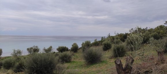 1625m² Hotel in Chalkidiki, Greece No. 3780 3