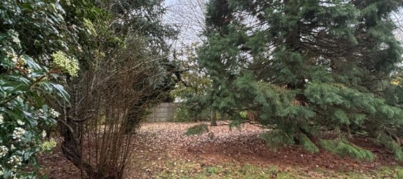 Terreno en Saint-Jean-de-Braye, France No. 40986 7