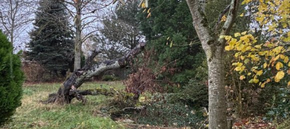 Terreno en Saint-Jean-de-Braye, France No. 40986 5