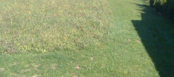 Земельный участок в Розегг, Австрия № 244002 2