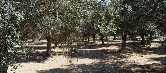 4000m² Land in Rethymno, Greece No. 95296 11