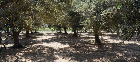 4000m² Land in Rethymno, Greece No. 95296 13