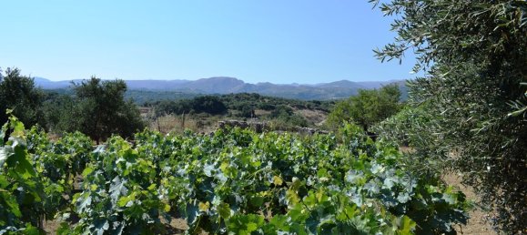 4000m² Land in Rethymno, Greece No. 95296 9