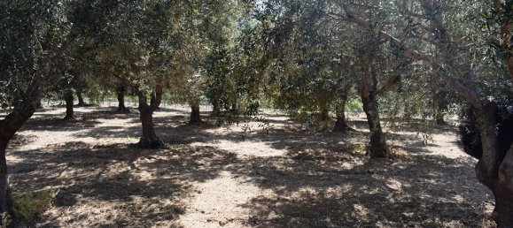 4000m² Land in Rethymno, Greece No. 95296 12
